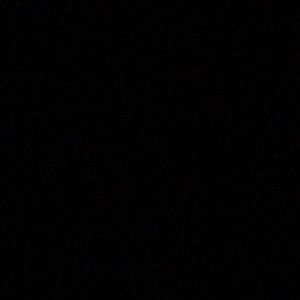 Meet your Posher, Lamonne